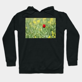 One Red Poppy Hoodie